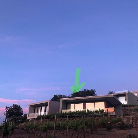 Vald'Aregos - Douro Hotel เรเซนด์ ภายนอก รูปภาพ