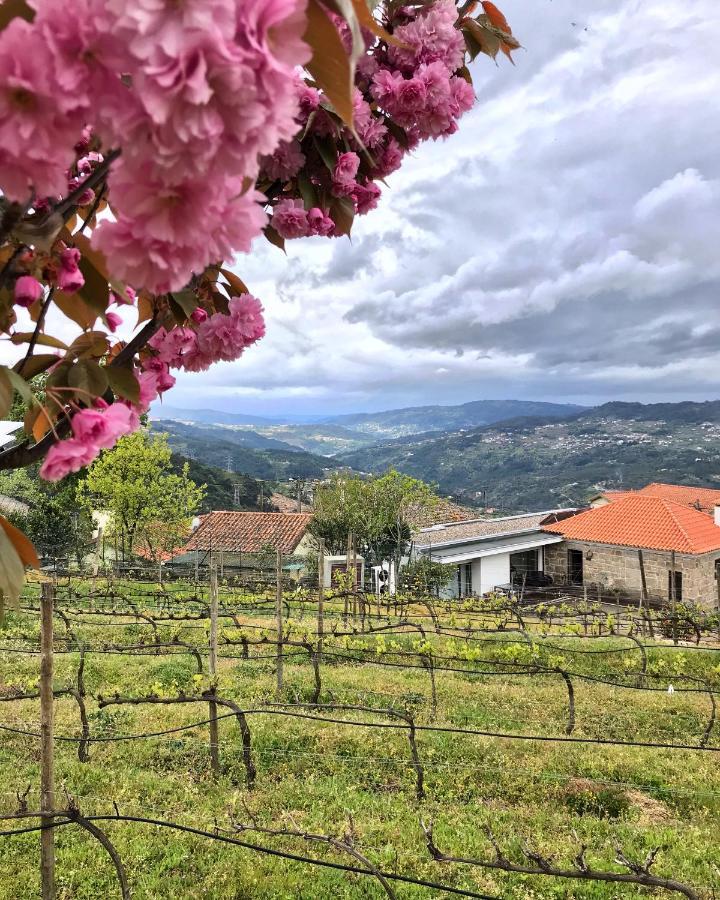 Vald'Aregos - Douro Hotel เรเซนด์ ภายนอก รูปภาพ