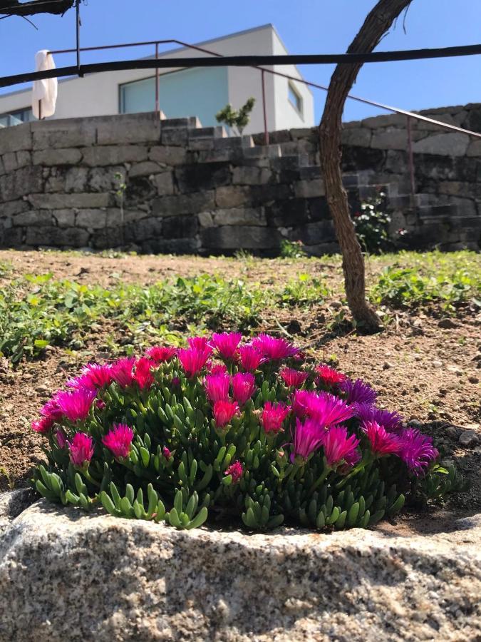 Vald'Aregos - Douro Hotel เรเซนด์ ภายนอก รูปภาพ