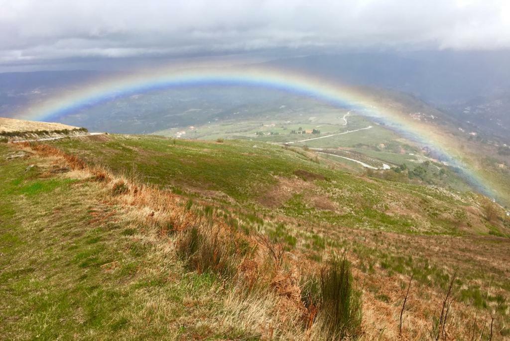 Vald'Aregos - Douro Hotel เรเซนด์ ภายนอก รูปภาพ